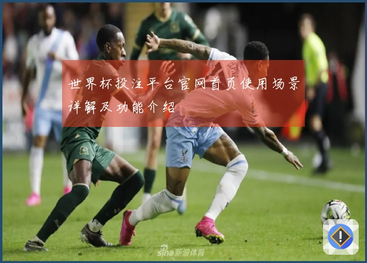世界杯投注平台官网首页使用场景详解及功能介绍
