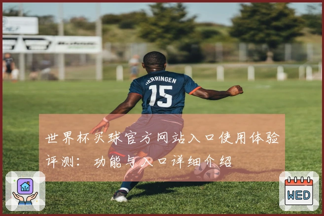 世界杯买球官方网站入口使用体验评测：功能与入口详细介绍