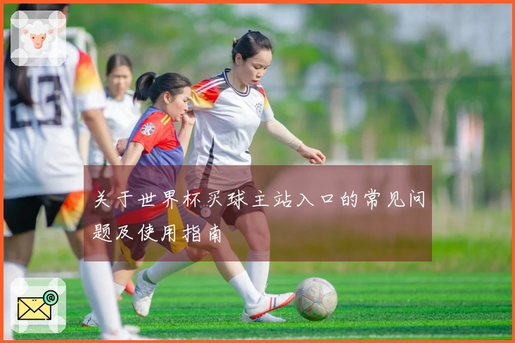 关于世界杯买球主站入口的常见问题及使用指南